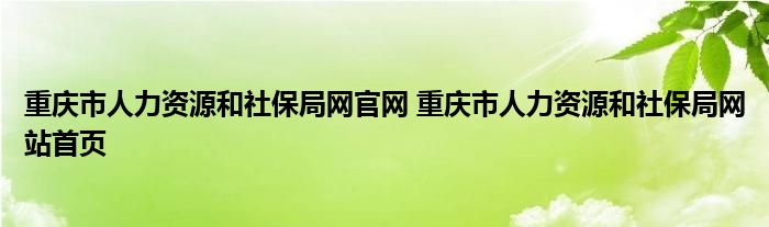 重庆市人力资源社保局首页官网网站