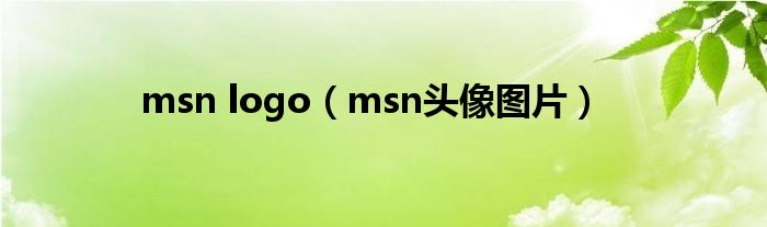 msn logo（msn头像图片）