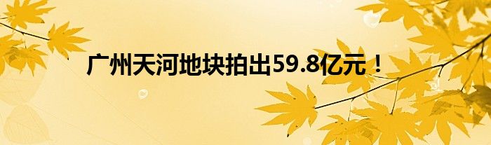 广州天河地块拍出59.8亿元！