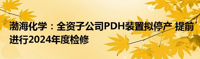 渤海化学：全资子公司PDH装置拟停产 提前进行2024年度检修