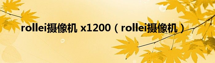 rollei摄像机 x1200（rollei摄像机）