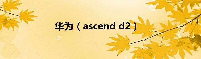 华为（ascend d2）