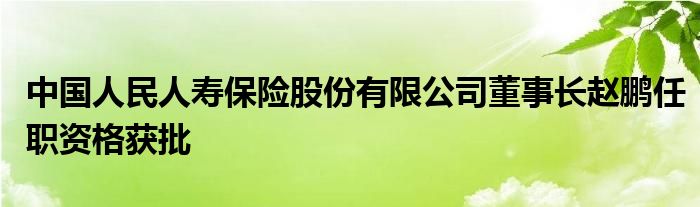 中国人民人寿保险股份有限公司董事长赵鹏任职资格获批
